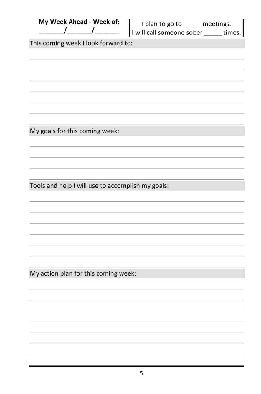 10th Step Journal For Recovering Alcoholics & Other Addicts