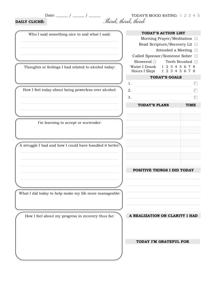 AA 12 steps Daily journal & check-ins